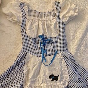 Dorothy Costume